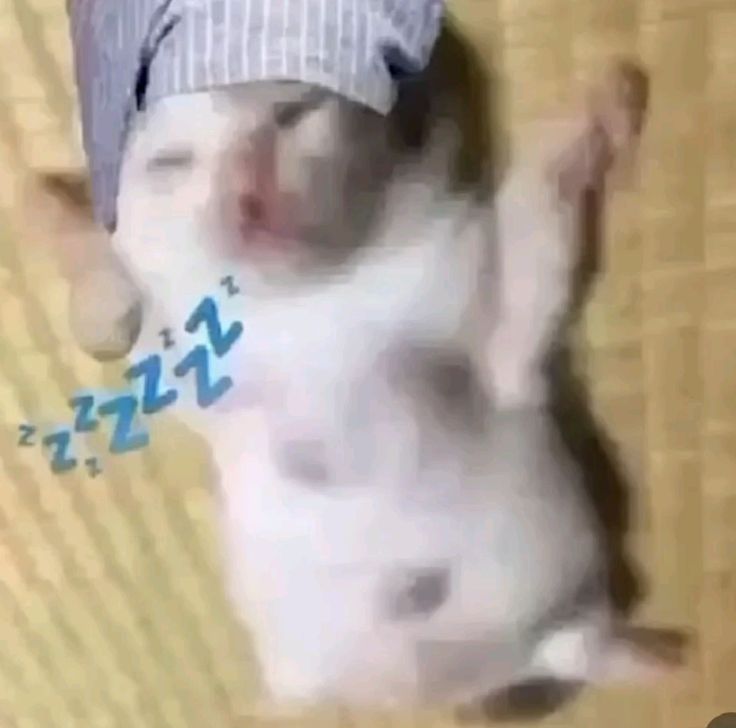 me rn